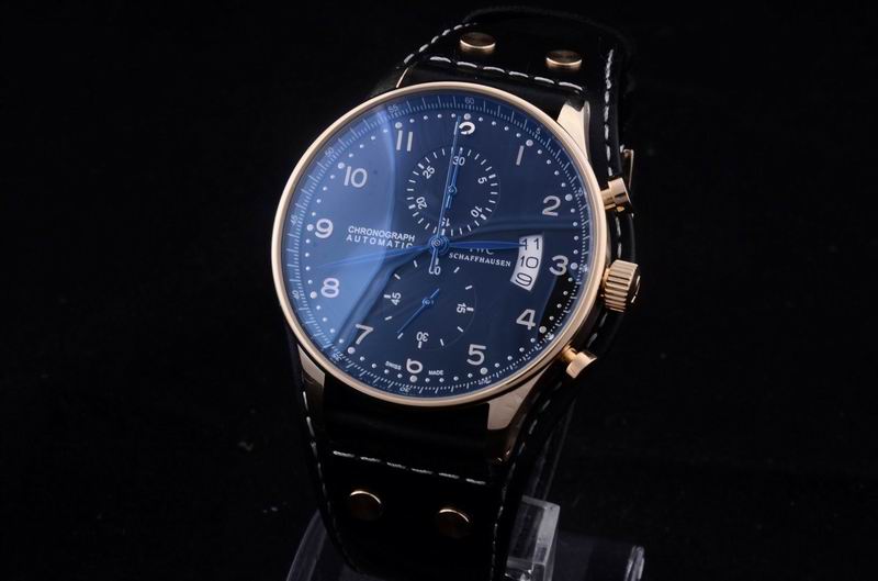 IWC watch man-317
